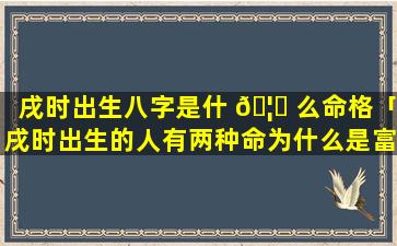 戌时出生八字是什 🦉 么命格「戌时出生的人有两种命为什么是富贵命吗」